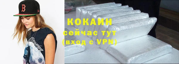 мдпв Богородск