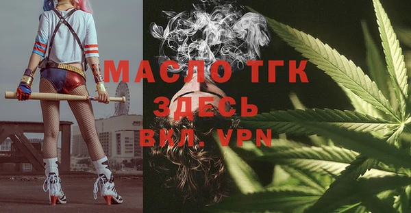 мдпв Богородск
