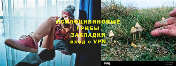 мдпв Богородск