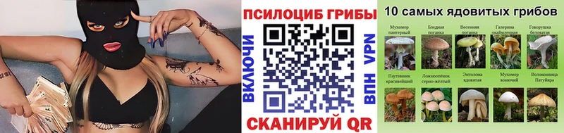 Псилоцибиновые грибы мицелий  Старица 